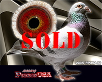 22027RPUSA22sm