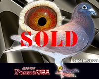 24002RPUSA24sm