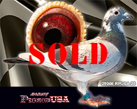 25006RPUSA25sm2