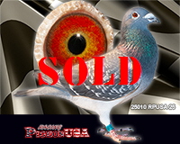 25010RPUSA25sm