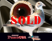 25012RPUSA25sm