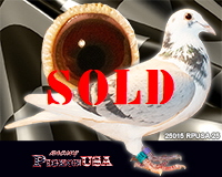 25015RPUSA25sm