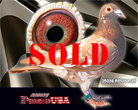 25036RPUSA25sm